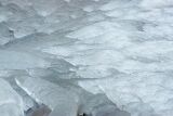 ice_0006