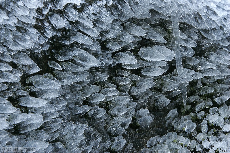 ice_0007_std.jpg