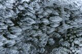 ice_0007