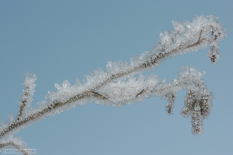 ice_0008_std.jpg