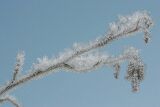 ice_0008
