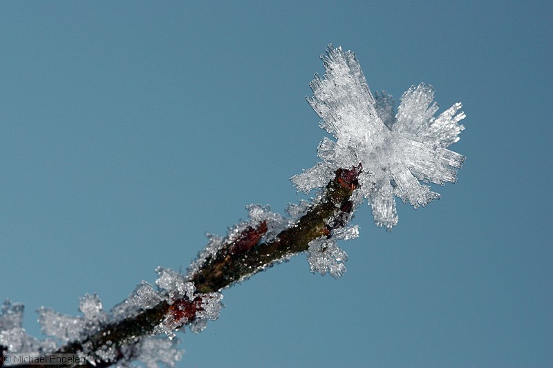 ice_0009_std.jpg