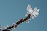 ice_0009
