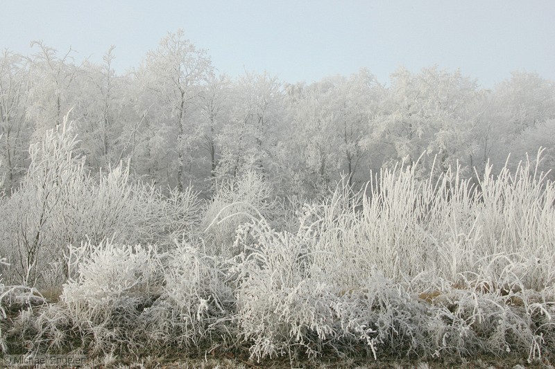 ice_0012_std.jpg
