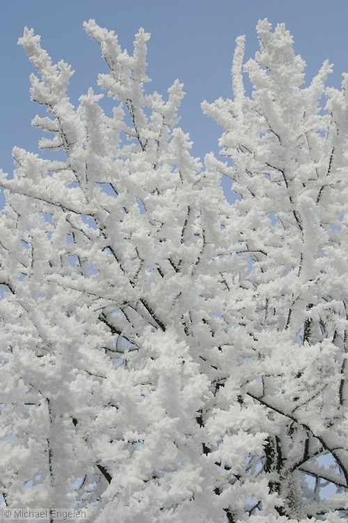 ice_0013_std.jpg