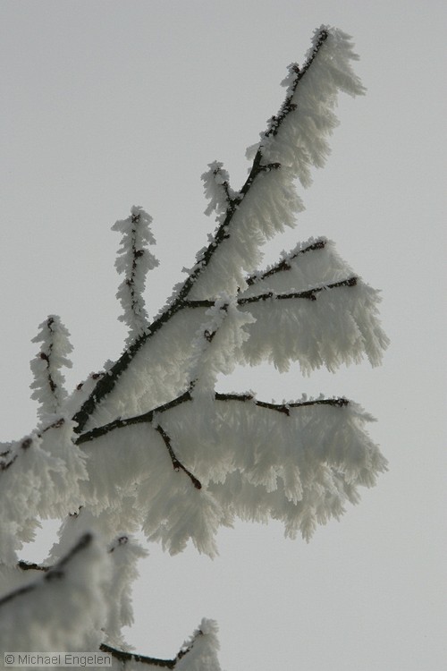 ice_0014_std.jpg