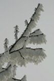 ice_0014